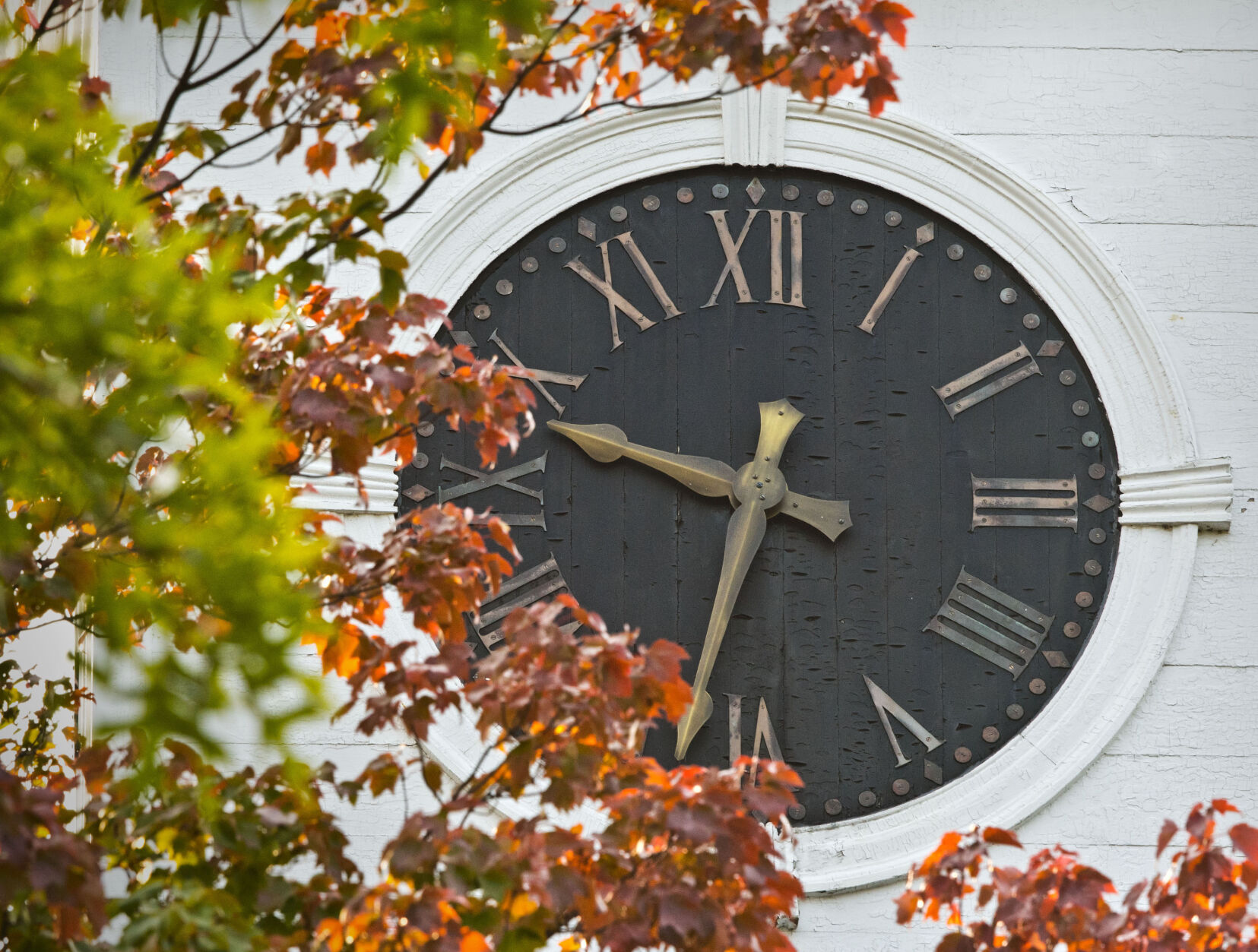 photos-month-oct24.JPG